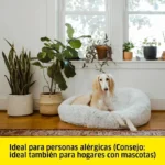 Aspiradoras con agua para tapizados-4