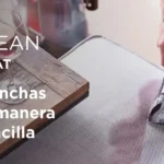 Portada Quitamanchas Tapicerías Bissell (1)